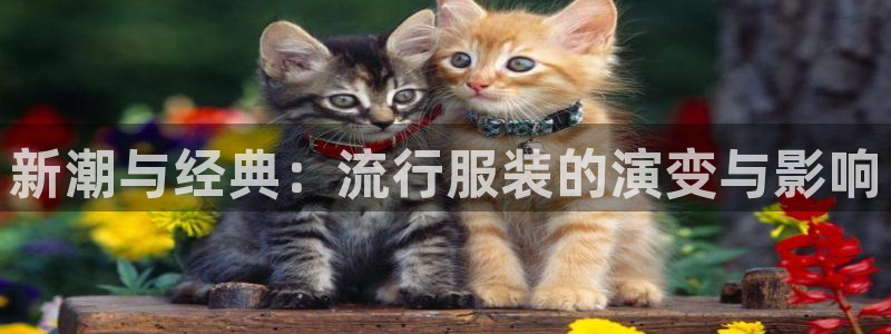 意昂体育3平台是正规平台吗
