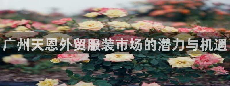 意昂体育3是干嘛的公司