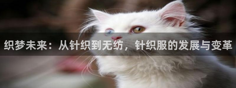 意昂3开户