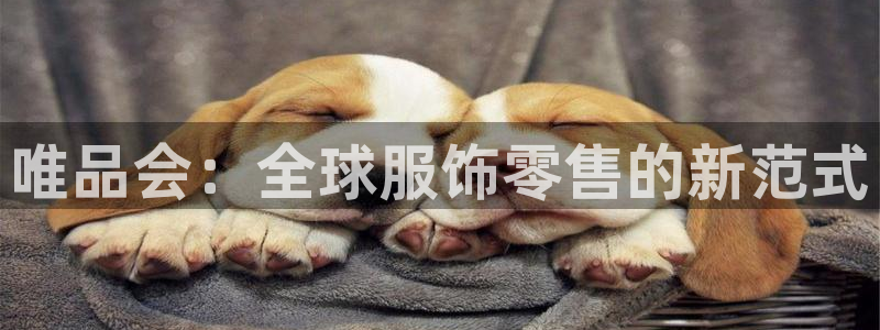 意昂3娱乐首页网站大全