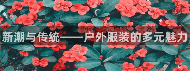 意昂体育3开户