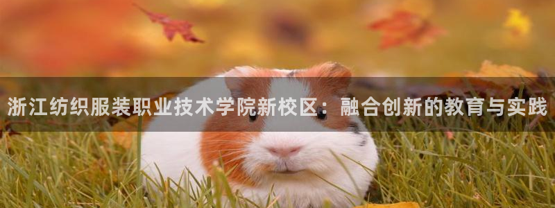 意昂体育3平台