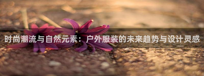 意昂3娱乐首页网站大全