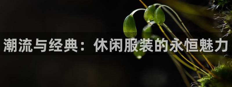 意昂体育3招商电话地址是多少