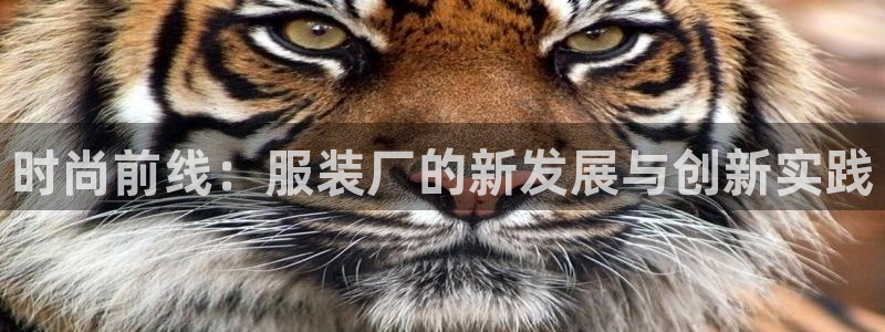 意昂体育3招商电话地址