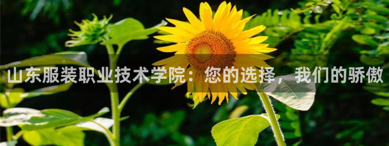 意昂3集团E.ON