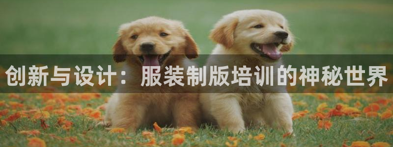 意昂体育3招商电话是多少号码
