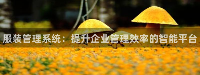 意昂3官方
