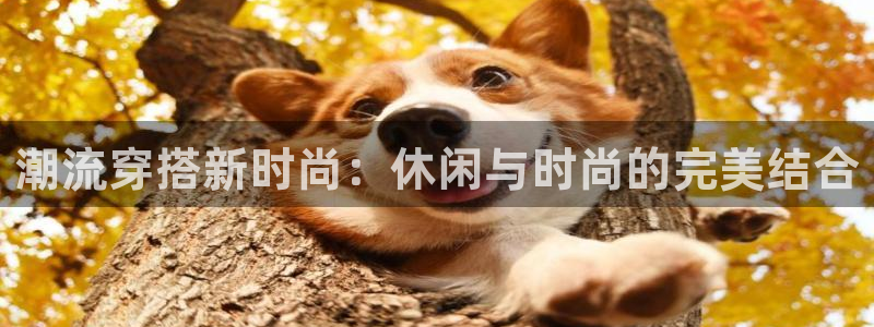 意昂体育3