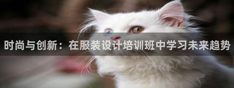 意昂3集团官网首页网址