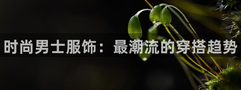 意昂体育3招商电话地址