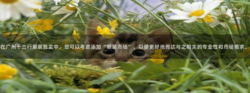 意昂体育3招商电话号码是多少