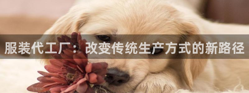 意昂体育3招商