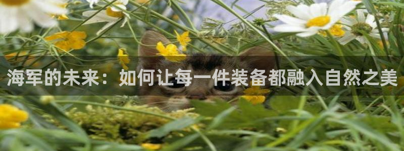 意昂体育3平台注册流程视频