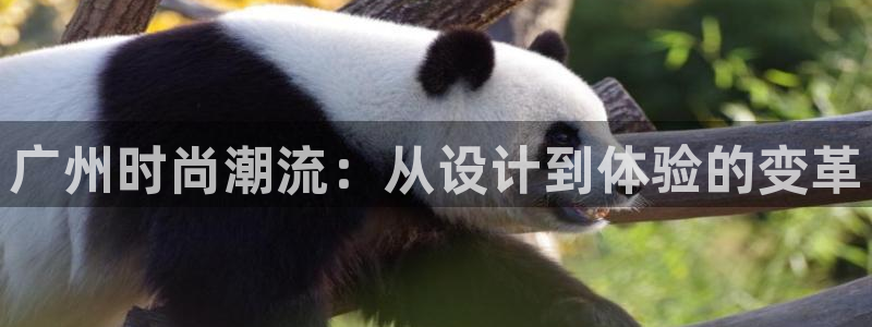 意昂体育3招商电话是多少