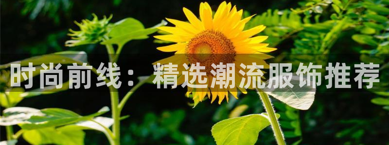 意昂体育3注册