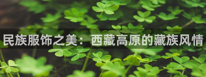 意昂体育3是干嘛的公司